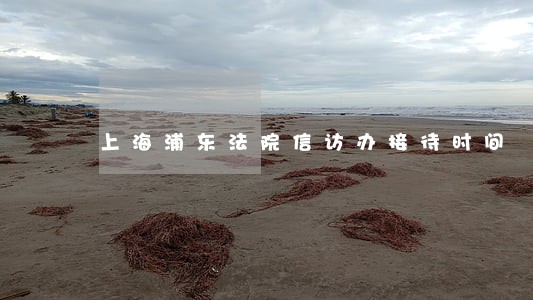 上海浦东法院信访办接待时间 上海浦东法院信访办接待时间