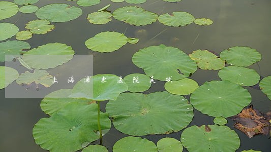 上海浦东法院吴斌 上海浦东法院吴斌