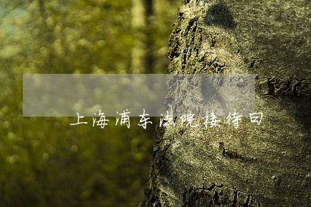 上海浦东法院接待曰 上海浦东法院接待曰