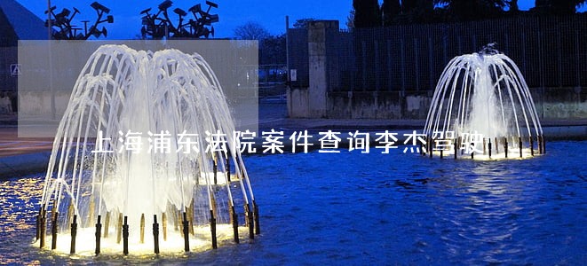 上海浦东法院案件查询李杰驾驶 上海浦东法院案件查询李杰驾驶