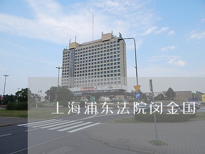 上海浦东法院闵金国