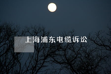 上海浦东电缆诉讼 上海浦东电缆诉讼