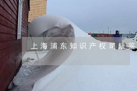 上海浦东知识产权司法鉴定中心