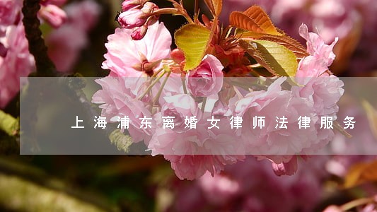 上海浦东离婚女律师法律服务 上海浦东离婚女律师法律服务