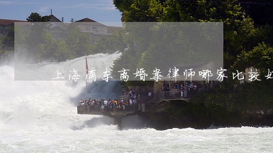 上海浦东离婚案律师哪家比较好