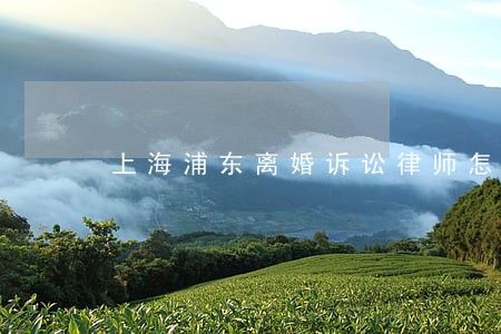 上海浦东离婚诉讼律师怎么请 上海浦东离婚诉讼律师怎么请