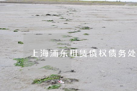 上海浦东租赁债权债务处理律师 上海浦东租赁债权债务处理律师