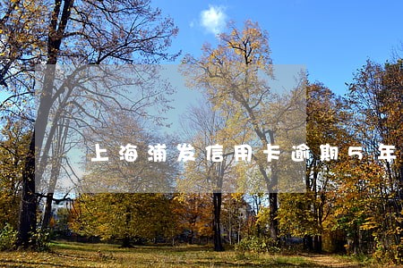 上海浦发信用卡逾期5年 上海浦发信用卡逾期5年