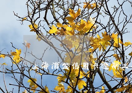 上海浦发信用卡逾期三个月5万 上海浦发信用卡逾期三个月5万