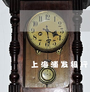 上海浦发银行逾期 上海浦发银行逾期