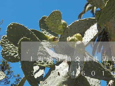 上海浦江镇交通违法处理中心电话/2023020460104