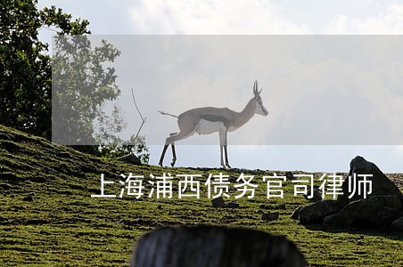 上海浦西债务官司律师 上海浦西债务官司律师