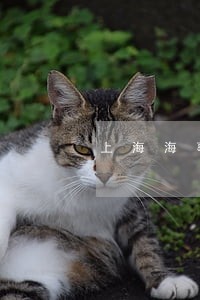 上海海事法院关于散货船拍卖 上海海事法院关于散货船拍卖