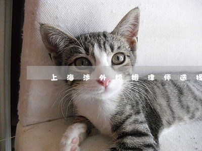 上海涉外婚姻律师选择 上海涉外婚姻律师选择