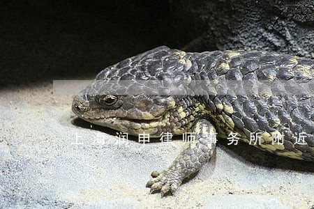 上海润申律师事务所附近商户 上海润申律师事务所附近商户