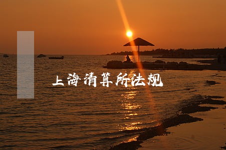 上海清算所法规 上海清算所法规