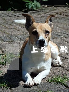 上海点融网逾期 上海点融网逾期