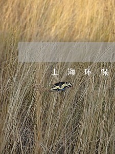 上海环保重大违法违规行为界定 上海环保重大违法违规行为界定