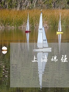 上海瑞强汽配经营部法律风险查询 上海瑞强汽配经营部法律风险查询
