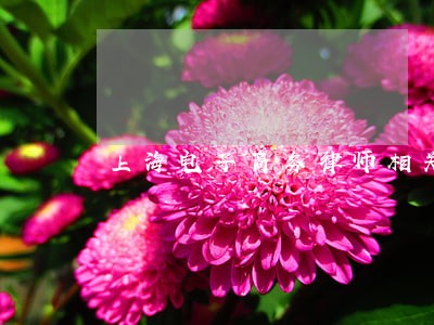 上海电子商务律师相关问答 上海电子商务律师相关问答