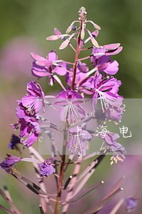 上海电气83亿应收账款逾期 上海电气83亿应收账款逾期
