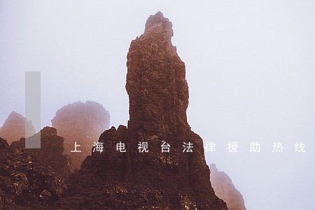 上海电视台法律援助热线 上海电视台法律援助热线