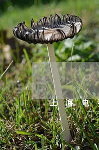 上海电费逾期会影响信用吗 上海电费逾期会影响信用吗