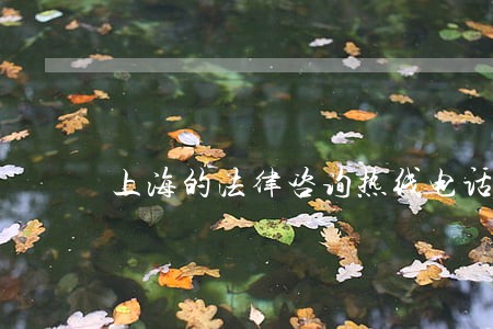 上海的法律咨询热线电话 上海的法律咨询热线电话