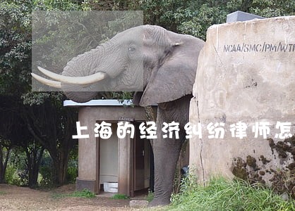 上海的经济纠纷律师怎么选择