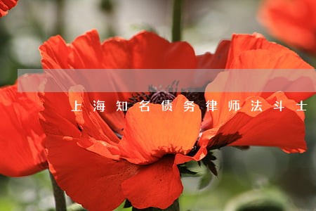 上海知名债务律师法斗士 上海知名债务律师法斗士