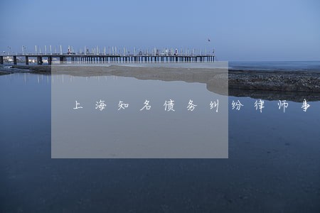 上海知名债务纠纷律师事务所 上海知名债务纠纷律师事务所
