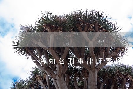 上海知名刑事律师委托流程 上海知名刑事律师委托流程