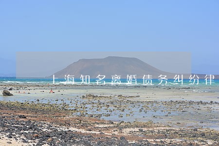 上海知名离婚债务纠纷律师 上海知名离婚债务纠纷律师