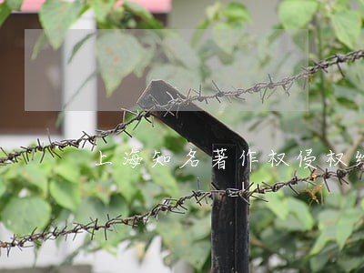 上海知名著作权侵权维权律师 上海知名著作权侵权维权律师