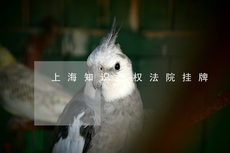 上海知识产权法院挂牌 上海知识产权法院挂牌