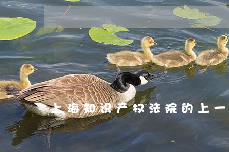 上海知识产权法院的上一级 上海知识产权法院的上一级