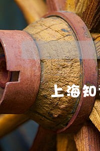 上海知识产权立案法院传唤 上海知识产权立案法院传唤