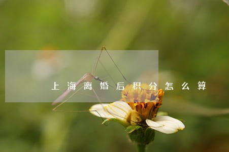 上海离婚后积分怎么算 上海离婚后积分怎么算
