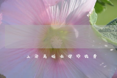 上海离婚女律师收费