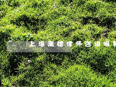 上海离婚律师咨询服务 上海离婚律师咨询服务
