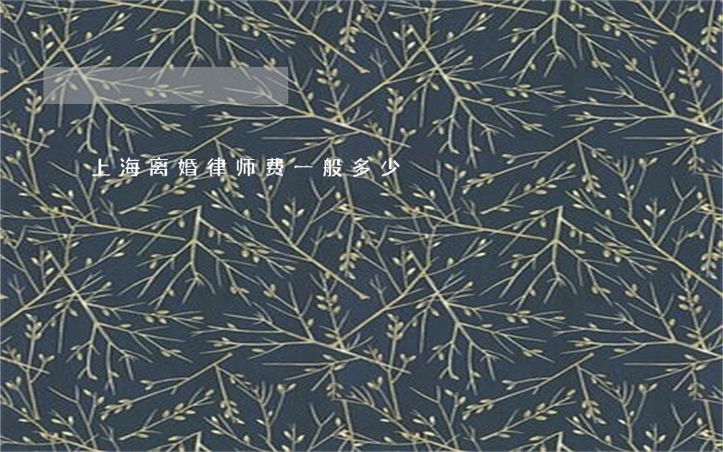 上海离婚律师费一般多少 上海离婚律师费一般多少