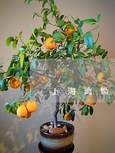 上海离婚律师费用一览表 上海离婚律师费用一览表