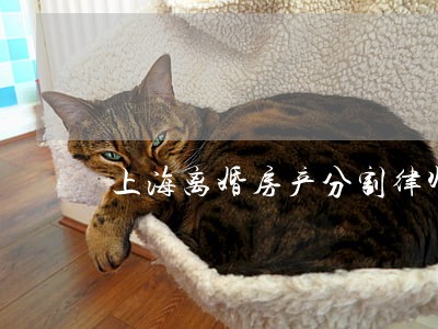 上海离婚房产分割律师咨询 上海离婚房产分割律师咨询