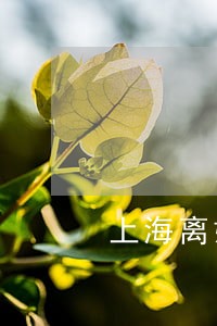 上海离婚找律师大概多少钱 上海离婚找律师大概多少钱
