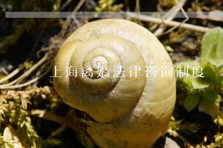 上海离婚法律咨询制度 上海离婚法律咨询制度
