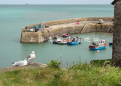 上海离婚法院地址