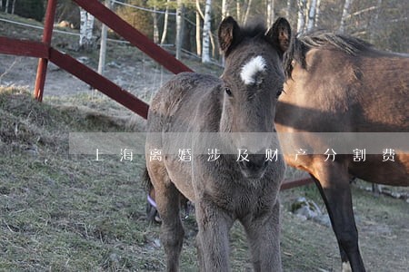 上海离婚涉及财产分割费用 上海离婚涉及财产分割费用