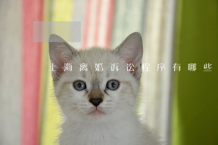 上海离婚诉讼程序有哪些 上海离婚诉讼程序有哪些