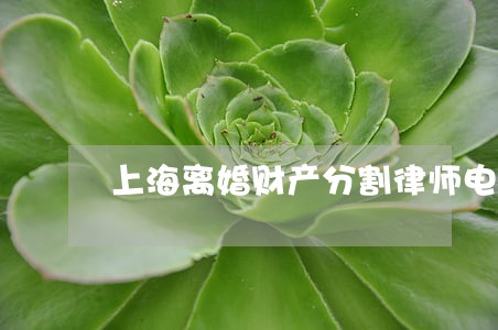 上海离婚财产分割律师电话咨询 上海离婚财产分割律师电话咨询