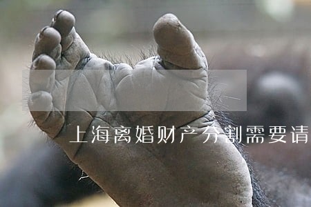 上海离婚财产分割需要请律师吗 上海离婚财产分割需要请律师吗
